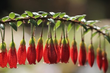中山古镇私人快速借钱网，轻松解决资金难题