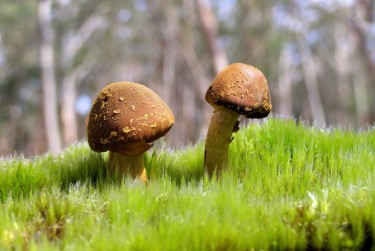 中山古镇私人老板放款：轻松融资的秘密通道